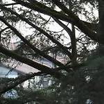 Monika 512 Lo Scrigno Del *